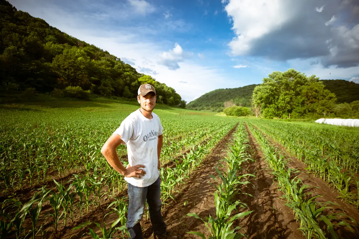 A farmer standing in rows of young corn in a green valley