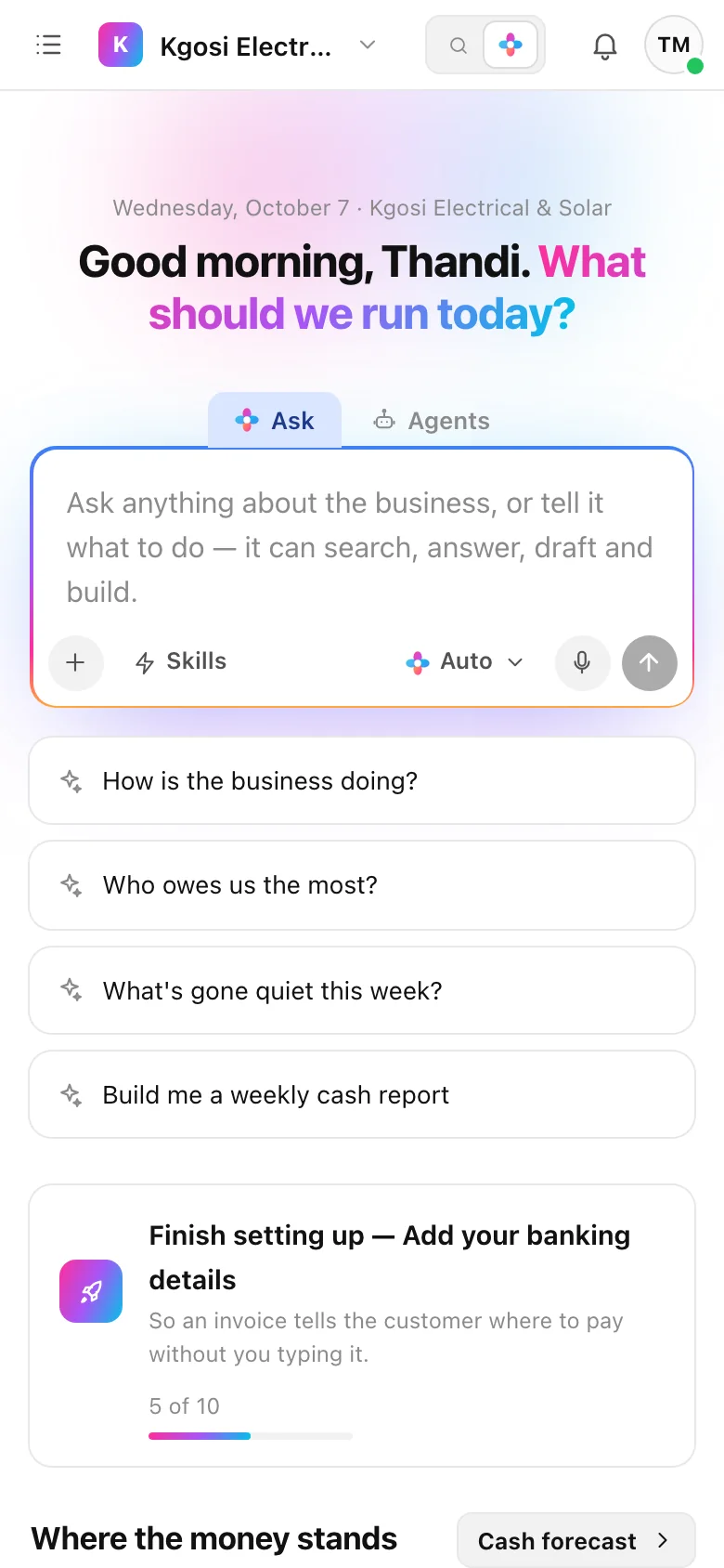Skynat AI on a phone: the home screen