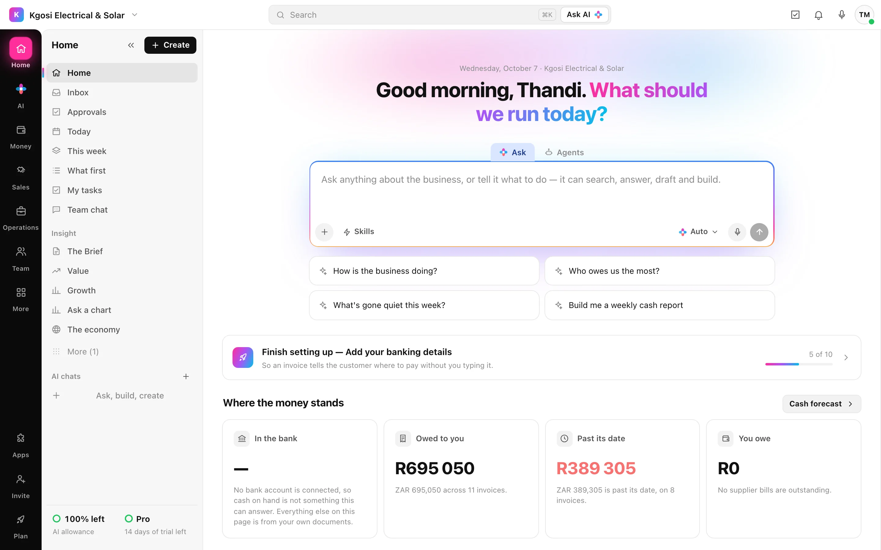 The Skynat AI home screen: a greeting, a box to ask anything, and where the money stands