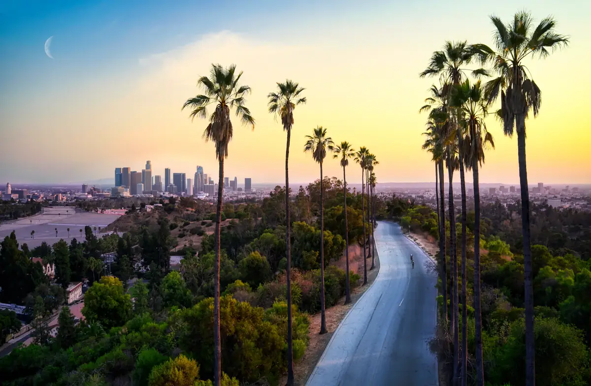 A palm-lined road running down to downtown Los Angeles at sunset