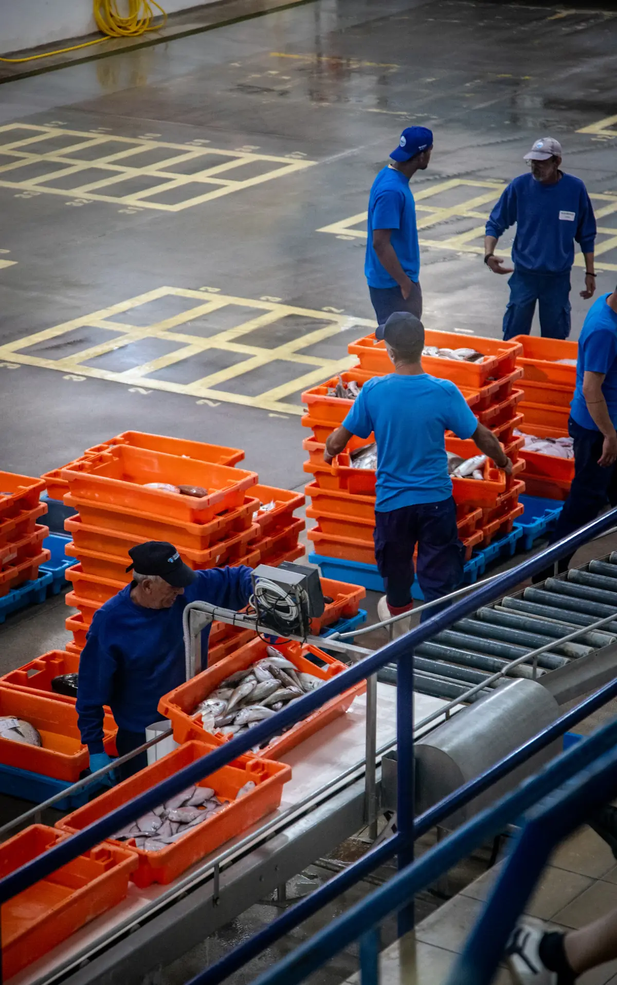Orange crates moving along a warehouse conveyor